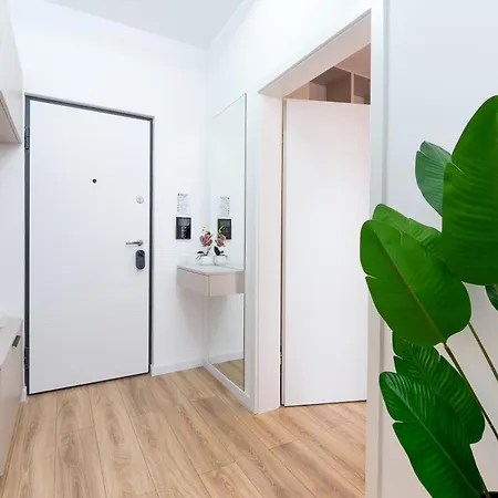 Apartment Mohost Magic - Feel The Spark *