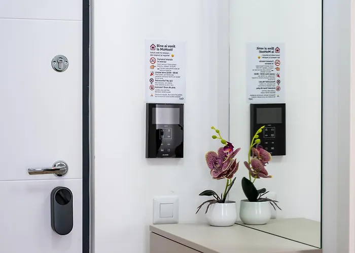 Mohost Magic - Feel The Spark