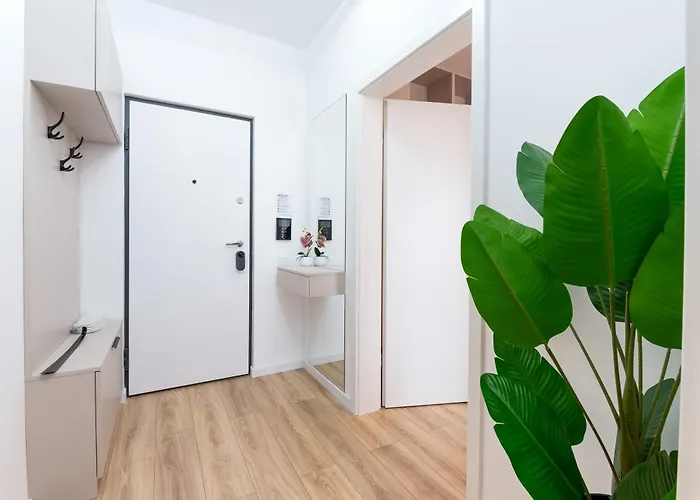 Apartment Mohost Magic - Feel The Spark *